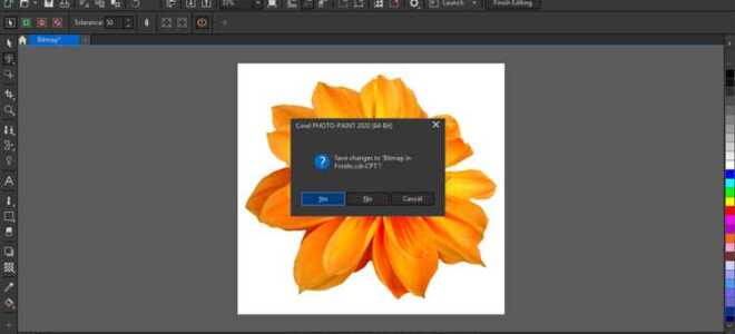 Как убрать обводку в coreldraw