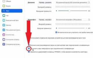 Как говорить в zoom