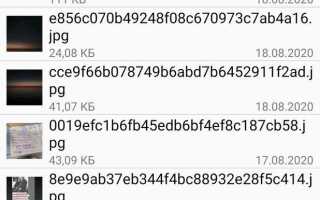 Как сохранить видео из статуса whatsapp андроид