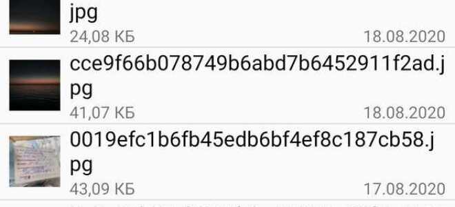 Как сохранить видео из статуса whatsapp андроид