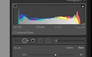 Как убрать гистограмму в lightroom