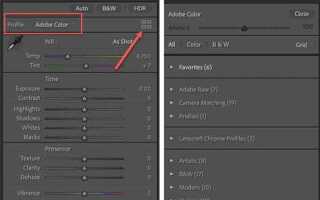 Как установить профиль камеры в lightroom