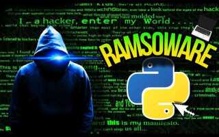 Как сделать вирус на python
