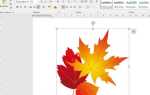 Как сделать круговую диаграмму в powerpoint