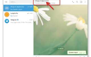 Как установить friendly telegram