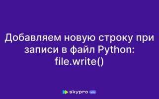 Как записать файл в папку python