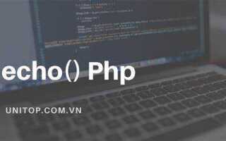 Как вывести echo в html