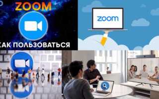 Что такое zoom и как по нему работать