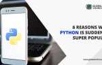 Почему python так популярен