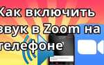 Как общаться через zoom на телефоне