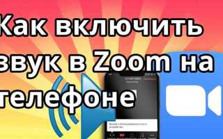 Как общаться через zoom на телефоне