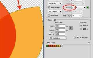 Как из фото сделать иллюстрацию в illustrator