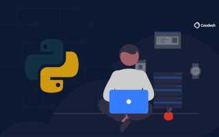 Что нужно знать backend разработчик python