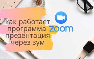 Как провести вебинар в zoom с презентацией
