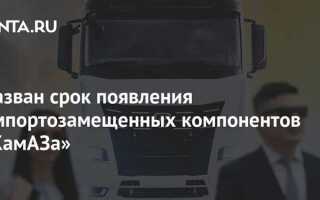 Сколько импортных комплектующих в камазе