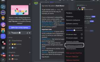 Что делать если бот не в сети discord