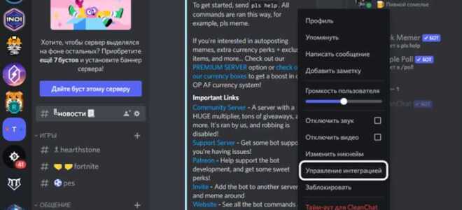 Что делать если бот не в сети discord