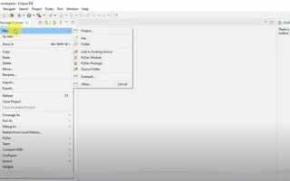 Как сделать eclipse для python