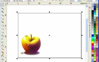 Как в coreldraw экспортировать все страницы