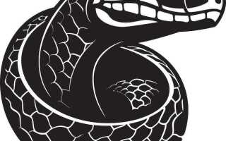 Как узнать цвет пикселя на экране python