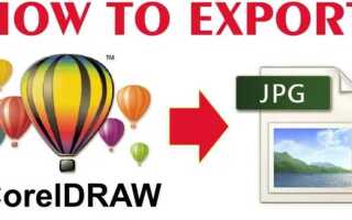 Как сохранить изображение без фона в coreldraw