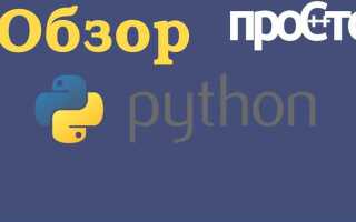 Как быстро выучить язык программирования python