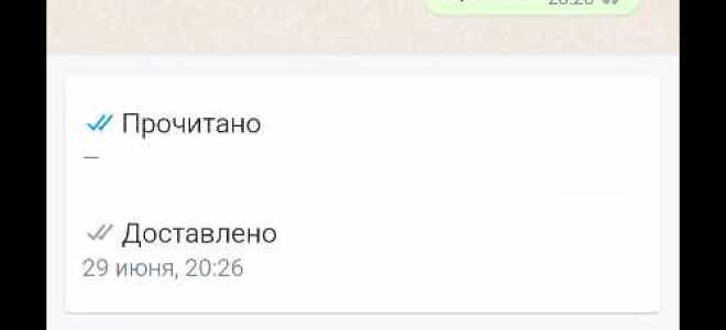 Как понять что сообщение прочитано в whatsapp