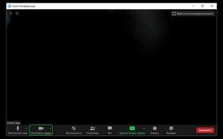 Как отключить комментирование в zoom