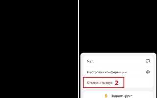 Как на zoom включить звук на телефоне конференции