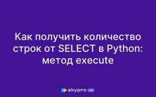 Как посчитать количество введенных строк в python