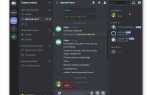 Как написать собственного бота в discord