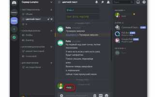 Как написать собственного бота в discord