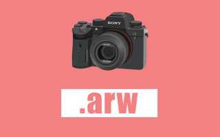 Как открыть arw в lightroom