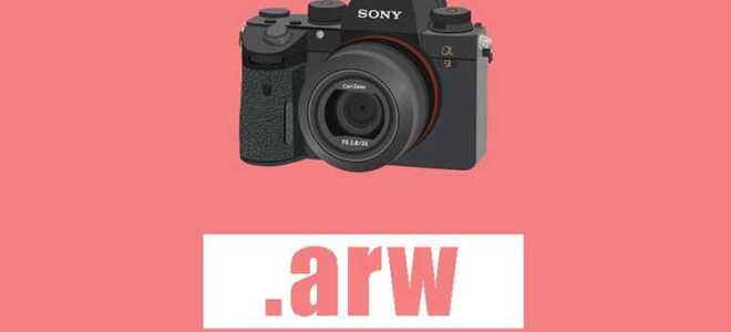 Как открыть arw в lightroom