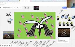 Как работать с доской miro в zoom