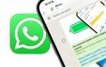 Как незаметно прочитать сообщение в whatsapp