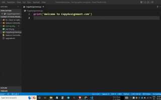 Как добавить numpy в visual studio