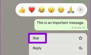 Что в whatsapp означает звездочка