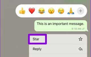 Что в whatsapp означает звездочка