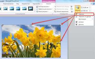 Как обрезать в презентации microsoft powerpoint