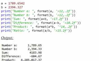 Что такое format в python