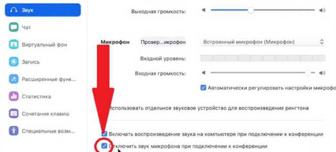 Как проверить микрофон и камеру в zoom