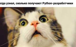 Почему за python так много платят