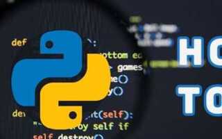 За сколько можно освоить python с 0