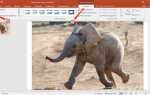 Как сделать размытие в powerpoint