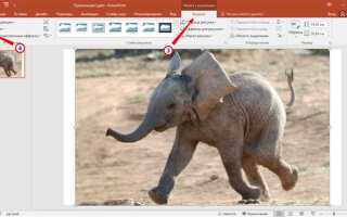 Как сделать размытие в powerpoint