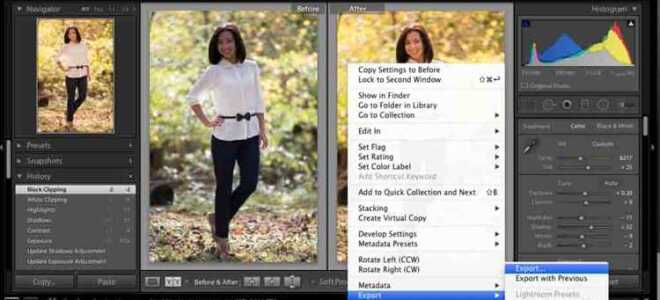 Как найти пресеты в lightroom