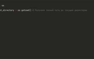 Как в python указать текущую директорию