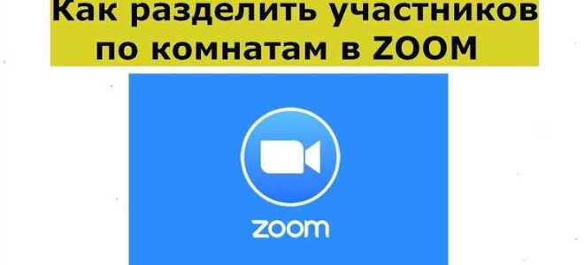 Как разделить участников по комнатам в zoom