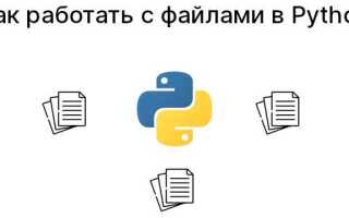 Как прочитать весь файл python 3